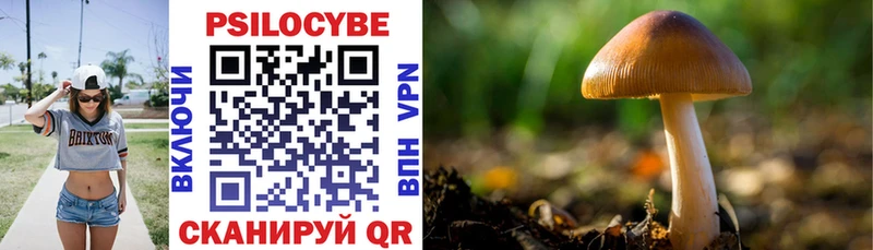 Купить закладки Когалым Псилоцибиновые грибы Psilocybe